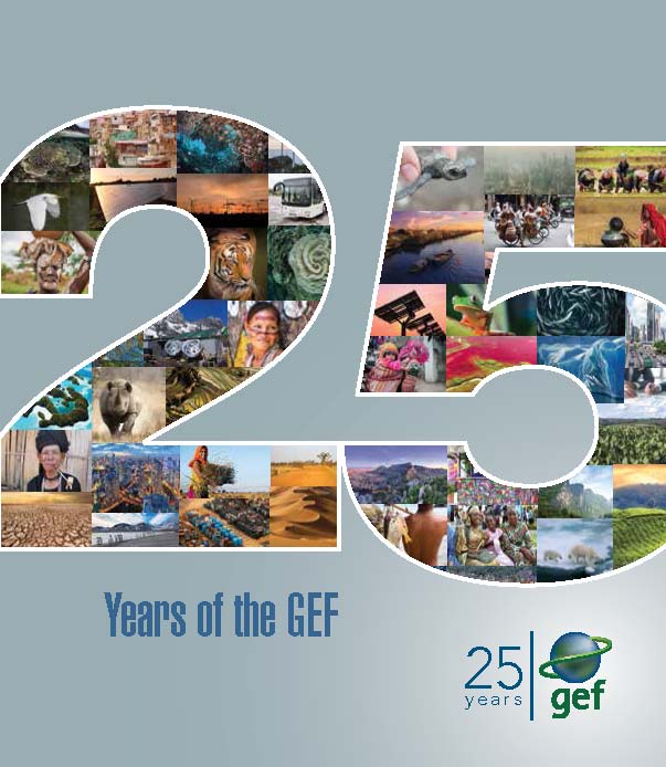 Pages from 25 years of the GEF.jpg